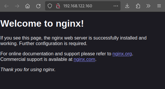 Nginx welcome screen.